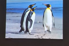 20250512_175420-scaled