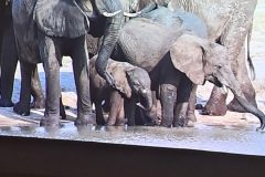 20250512_183817-scaled