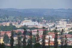 IMG_6713